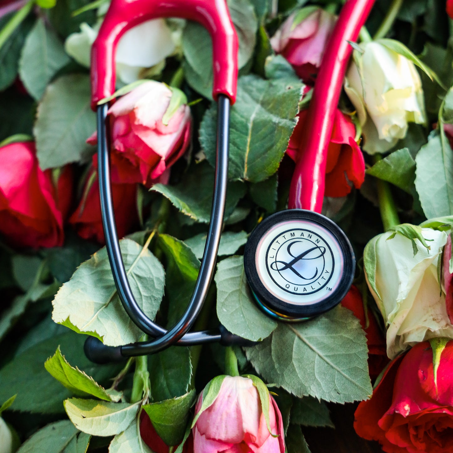 Littmann Classic III Stethoscope: Burgundy - Black Finish 5868 3M Littmann